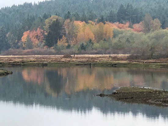 Theler Wetlands Belfair Nature Preserve
