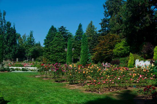 Woodland Park and Rose Garden