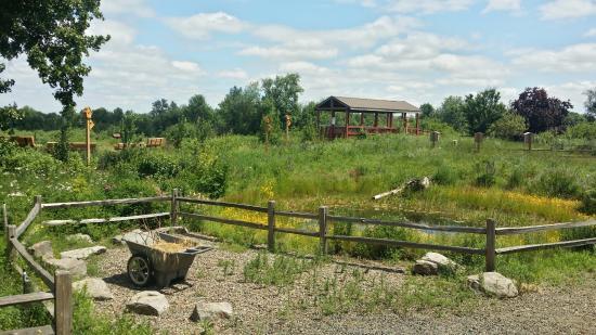 Jackson Bottom Wetlands Preserve
