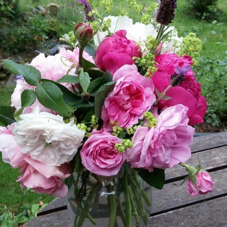 Rose Garden in Avery Park