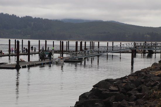Robinson Park at Port of Alsea