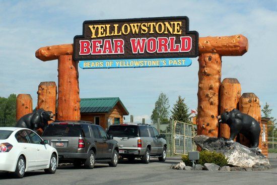 Yellowstone Bear World