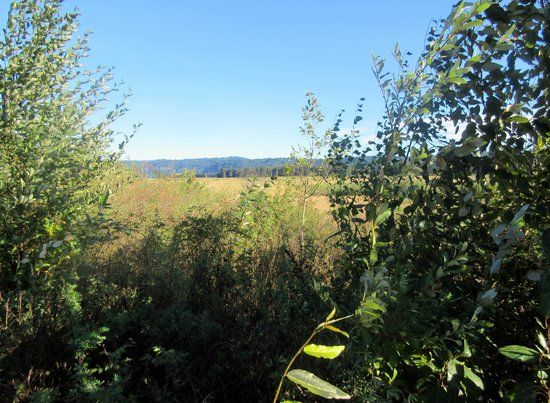 Steigerwald Lake National Wildlife Refuge