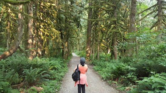 Wallace Falls State Park