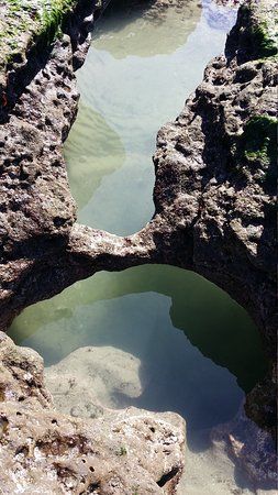 Seal Rock State Recreation Site