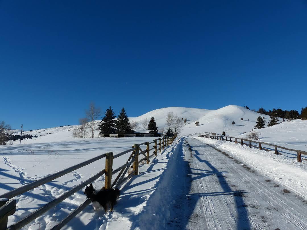 Bridger Bowl Ski Area