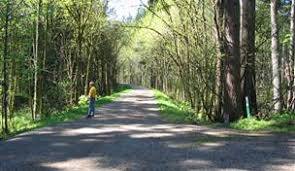 Cedar to Green River Trail