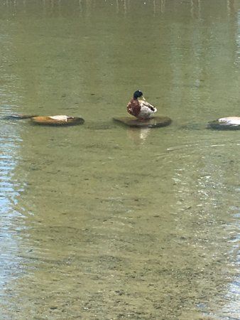 Lake Goodwin Community Park