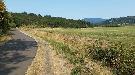 Bald Hill Natural Area