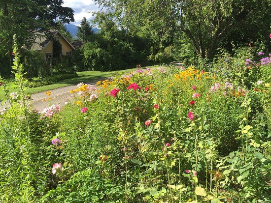 Mount Hood Organic Farm